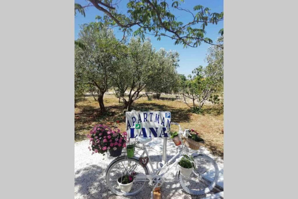 Apartman Lana Lozovac Exterior photo